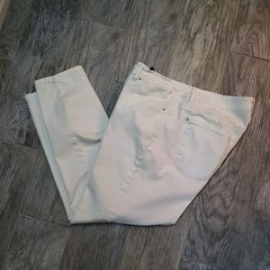 Curve Appeal Jennings